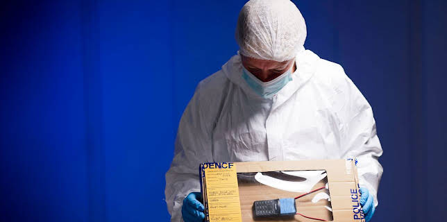 11:00 PM: Killer at the Crime Scene (S4 E4) (S4) | 5 Star | 11/12 2025