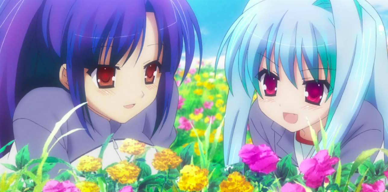 Outdoor School Confusion (2018)