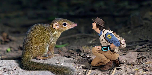 5:05 PM: Andy's Safari Adventures (S1) | Cbeebies | 3/6 2026