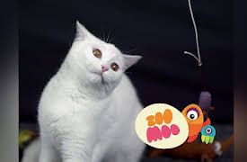 Animal All Stars: Play Time