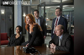 Unforgettable, Season 1: Endgame