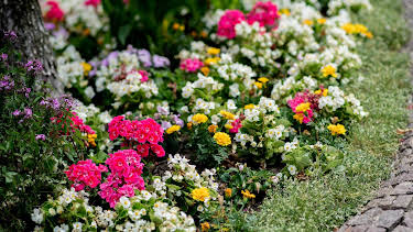 15:30: Schnittgut. Alles aus dem Garten | BR Fernsehen | 4/30 2026