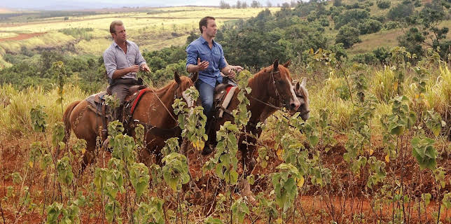 14:50: Hawaii Five-0 | Kabel Eins | 1/28 2026