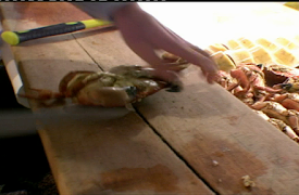 Anthony Bourdain: No Reservations: Episode 1