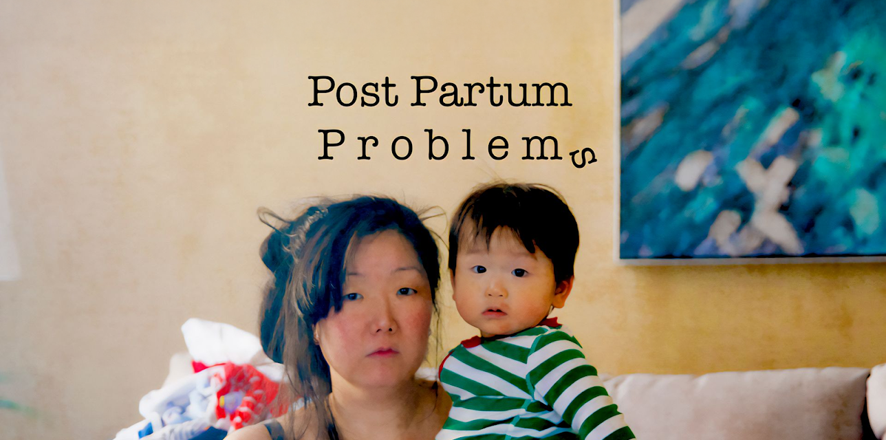 Post Partum Problems (2025)