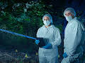 Forensics: Murder Scene