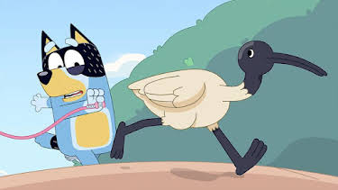 11:10 AM: Bluey (S1) | Cbeebies | 6/22 2026