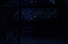 The Vietnam War: The History of the World (April 1969-May 1970)