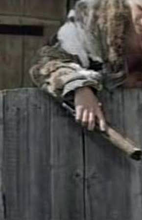 Vatslav Dvorzhetsky as 
