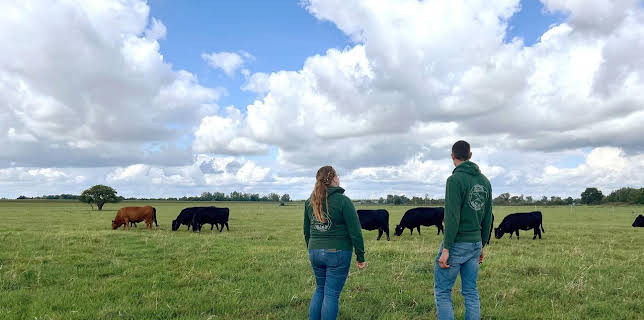 22:00: NDR Story | NDR Fernsehen | 11/3 2025