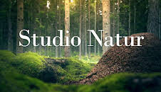 Studio natur