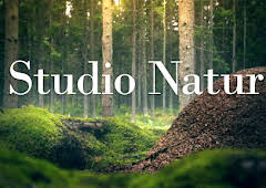 Studio natur