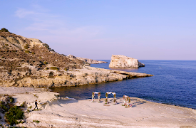 Cosmic Love France: The Stars Are Watching Over You!