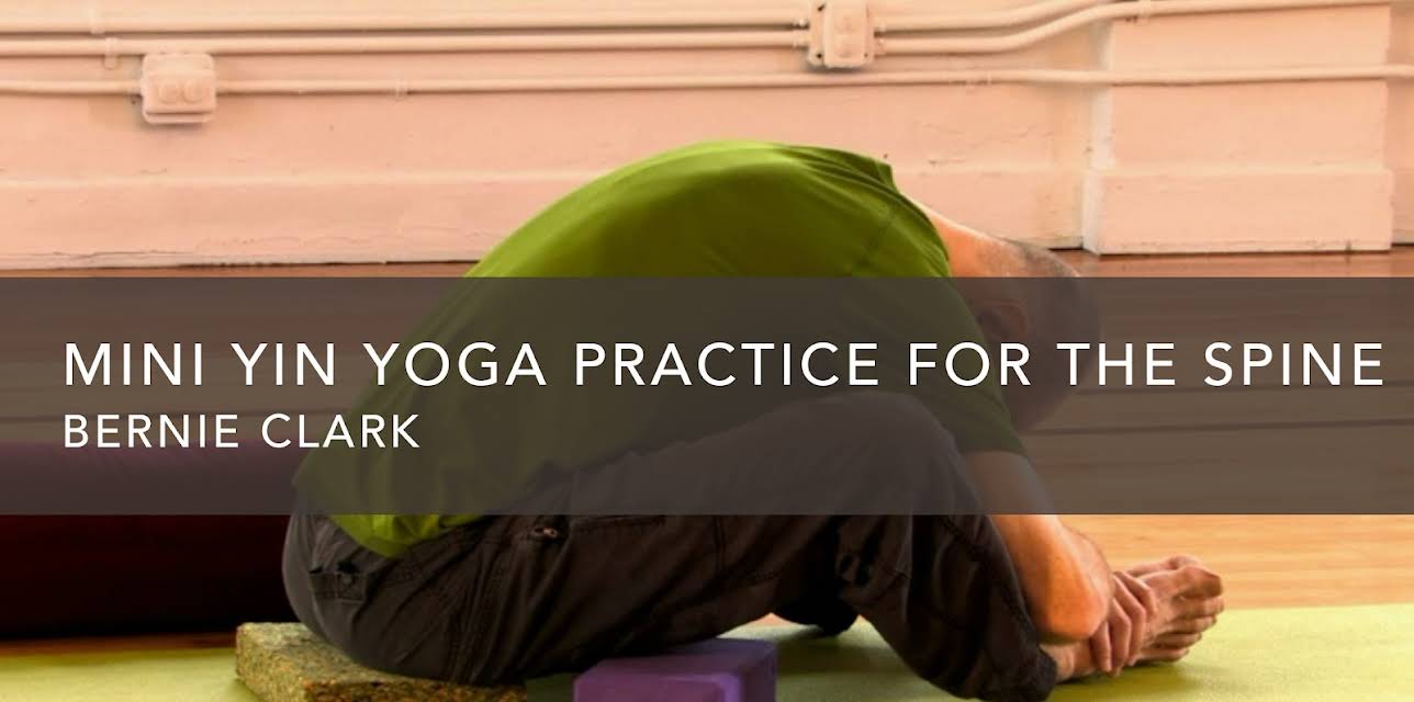 Mini Yin Yoga Practice for the Spine (2007)
