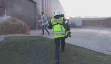 Auf Streife - Die Spezialisten