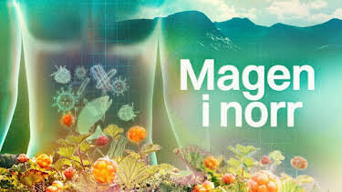 18:00: Magen i norr | SVT2 | 6/24 2026