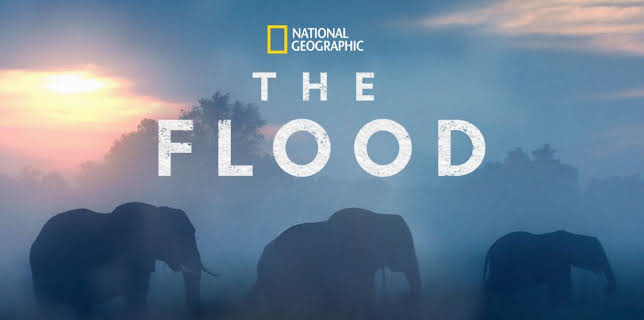 The Flood (2018)