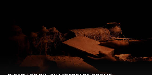 Sleepy Book: Shakespeare Poems (2023)