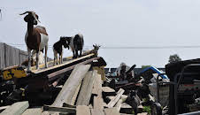 Hoarding: Buried Alive (S3 E3)