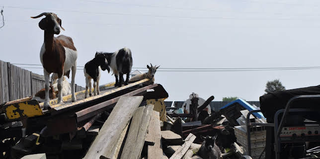 06:25: Hoarding: Buried Alive (S3 E3) (S3) | TLC | 3/3 2026