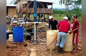 Adventure Capitalists, Season 1: Coastal Forest