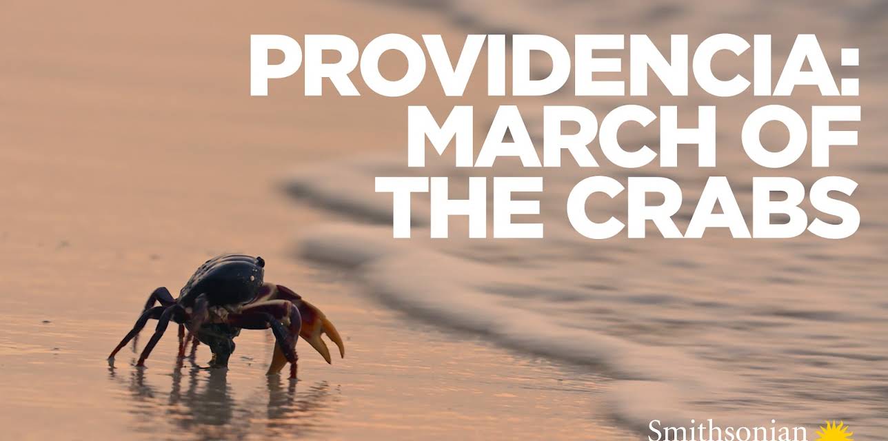Providencia: March of the Crabs