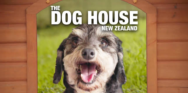 The Dog House New Zealand