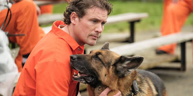 20:00: Hudson & Rex | TV 2 Livsstil | 11/10 2025