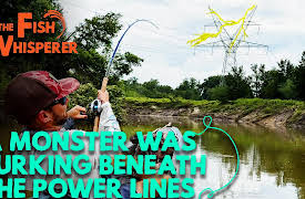 The Fish Whisperer: A Monster was Lurking Beneath the Power Lines!