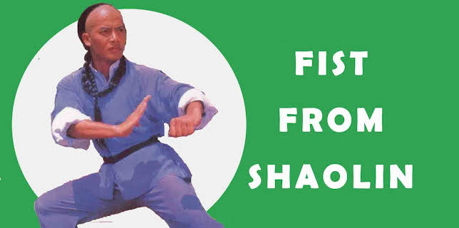 Fist From Shaolin (1993)