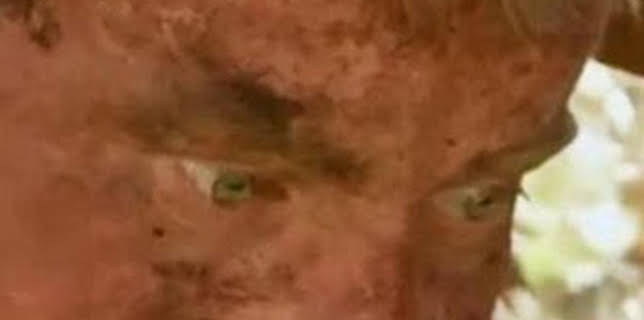 09:21: Aventura en pelotas: Ataque de tiburón | Discovery Max | 12/22 2025