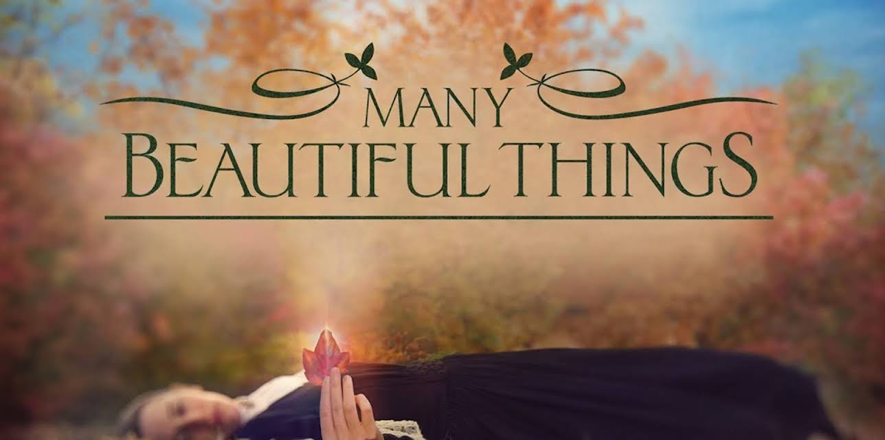 Many Beautiful Things (2023)