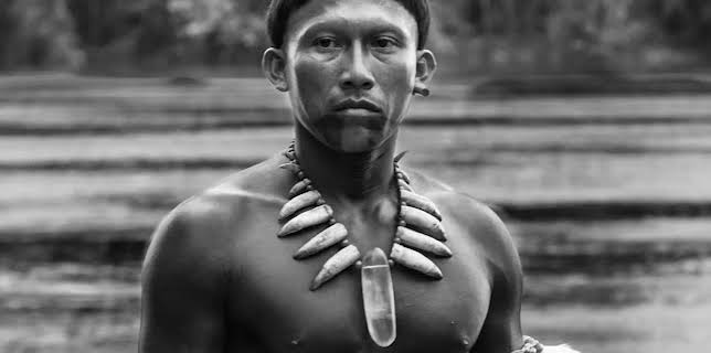 Embrace of the Serpent (2016)
