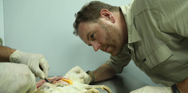 04:15: Verdens myter og mysterier (S6 E5) (S6) | VOX | 11/20 2025