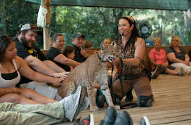 Tiger King: Cult of Personality