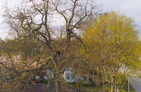 Fixer To Fabulous: Episode 5