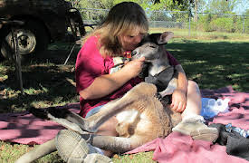 Preposterous Pets: Episode 6