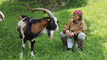 20:00: Versteckte Paradiese | BR Fernsehen | 3/30 2026