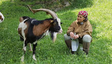 Versteckte Paradiese