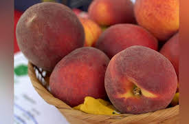 State Plate: Georgia