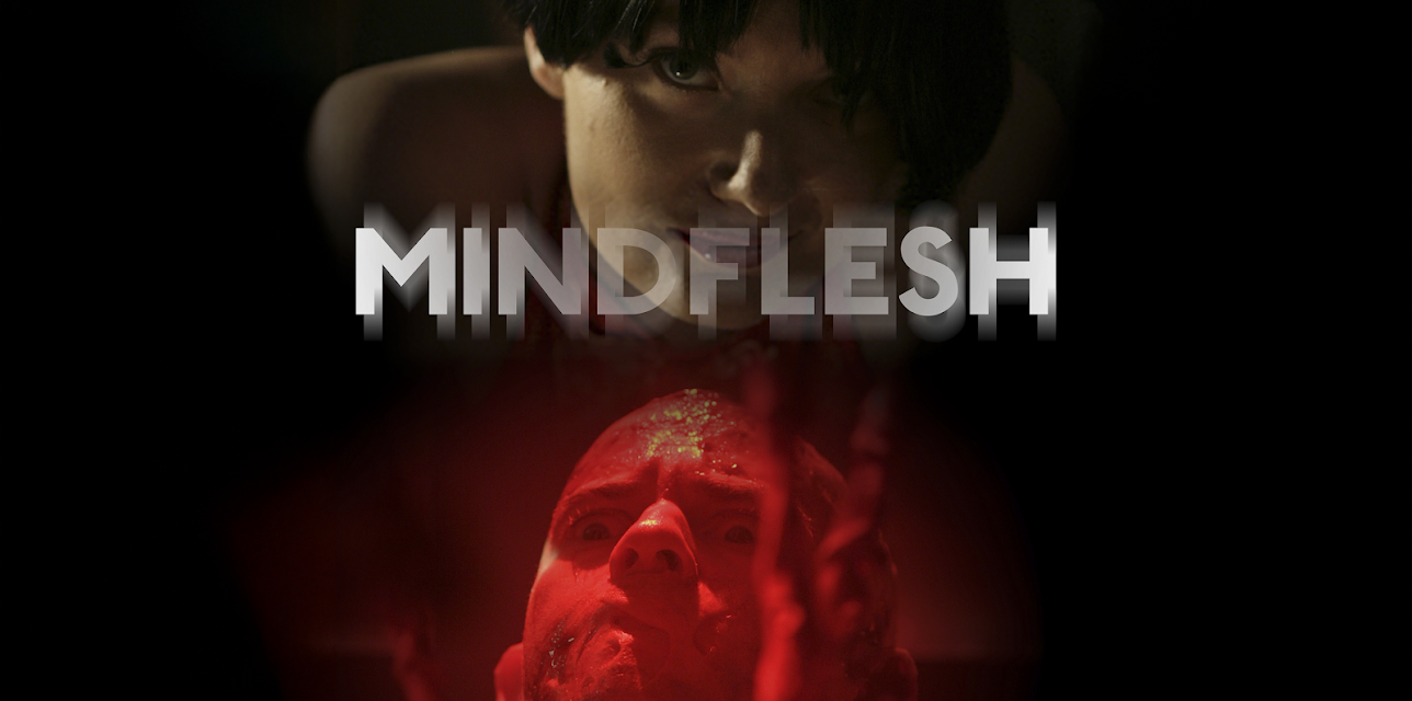 MindFlesh (2016)