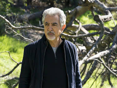 23:45: Criminal Minds | Sat1 Gold | 8/9 2026