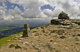 A New History of Life: The Collapse of Earth’s First Eden