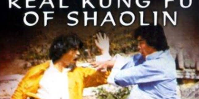 Real Kung Fu of Shaolin (1980)