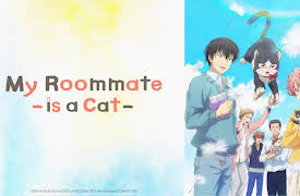 My Roommate is a Cat (Original Japanese Version): What Connects Us