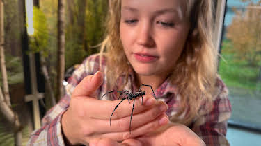 07:15: Nina und die wilden Tiere | Das Erste | 4/25 2026