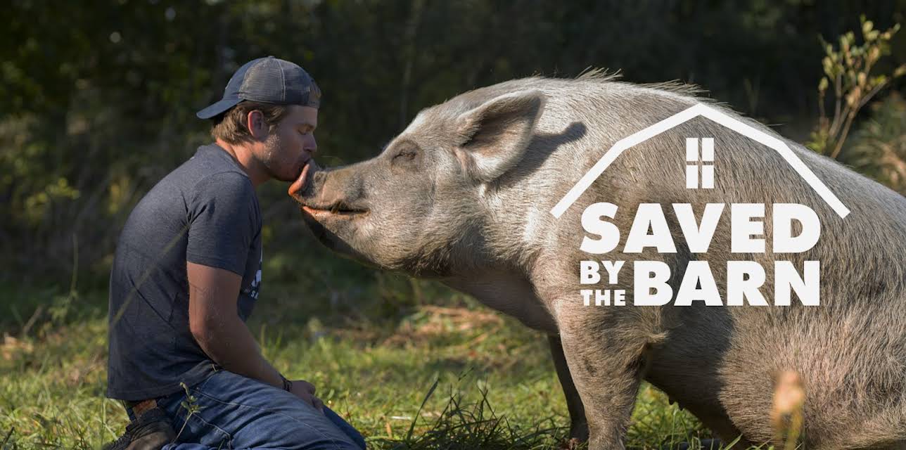 Saved By the Barn Season 1
