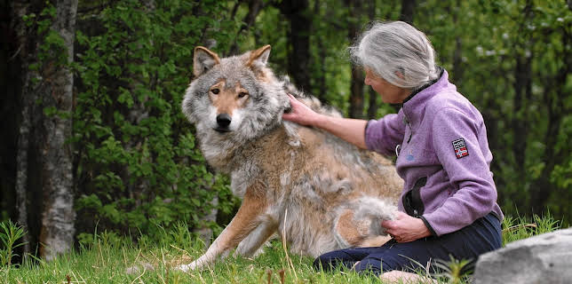 20:15: Nytt blod: Tiden er ute | NRK Tegnspraak | 12/18 2025