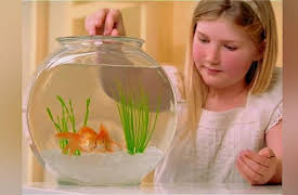 Kids' Planet: Responsibility