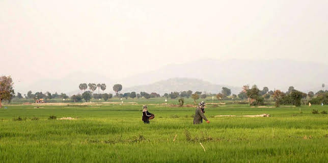 13:16: Stadt Land Kunst | Arte | 11/24 2025